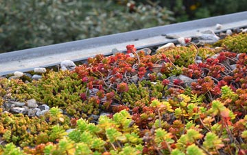 the cost of Taverham green roof installation